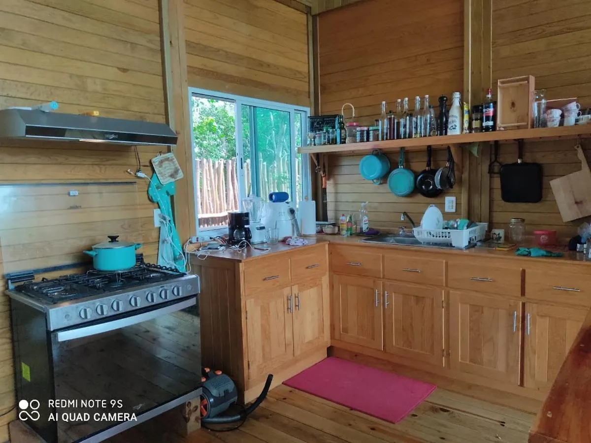 Casa Amores Luxury Villa Holbox